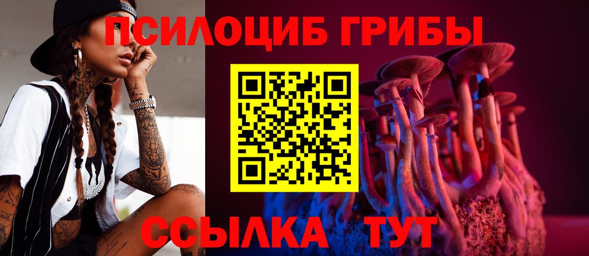 где можно купить наркотик  Вход с VPN  Подольск  Галлюциногенные грибы GOLDEN TEACHER 