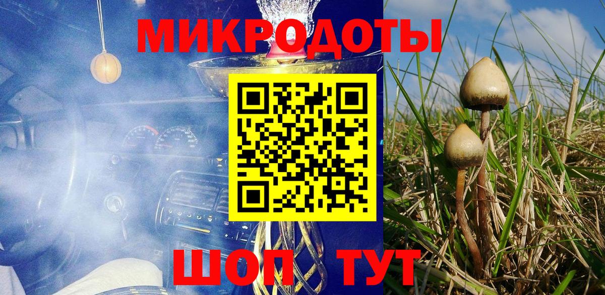 Галлюциногенные грибы прущие грибы Подольск